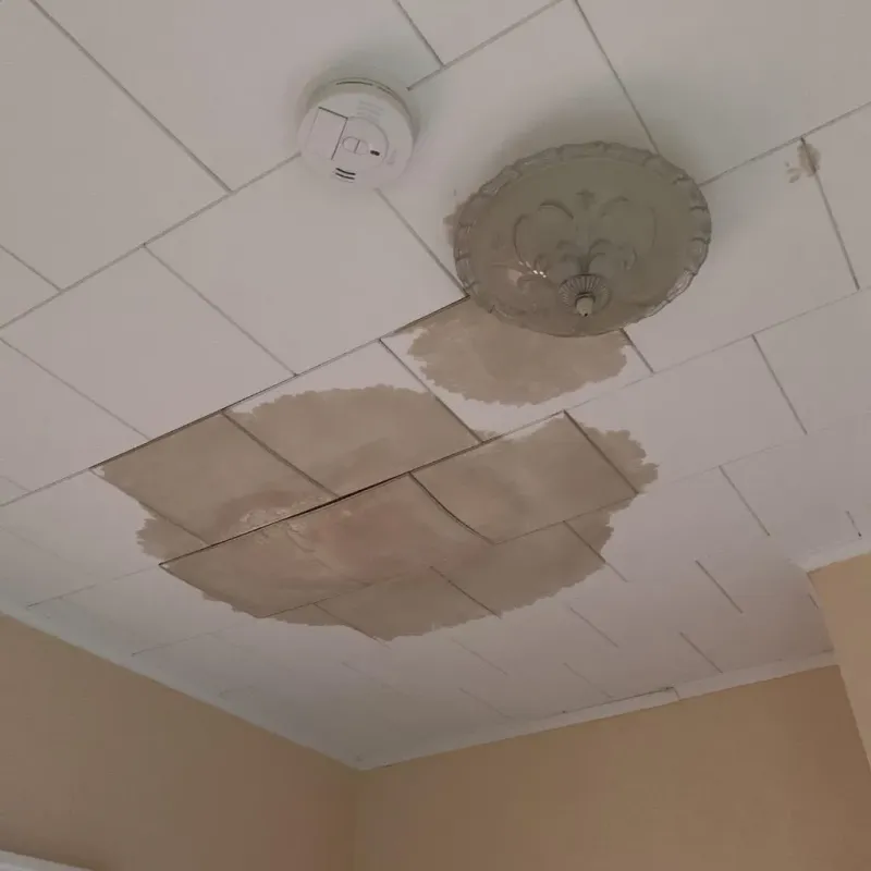 Ceiling Water Damage Repair in Brookfield, WI
