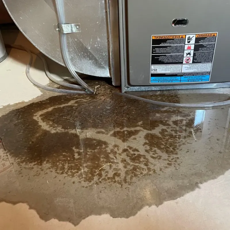 Pipe Burst and Leak Restoration in Brookfield, WI